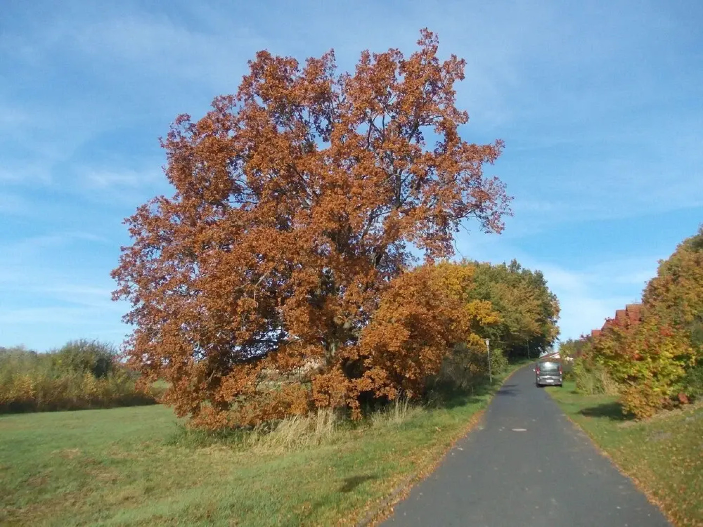 Welcoming Bungalow in Marlow With Terrace