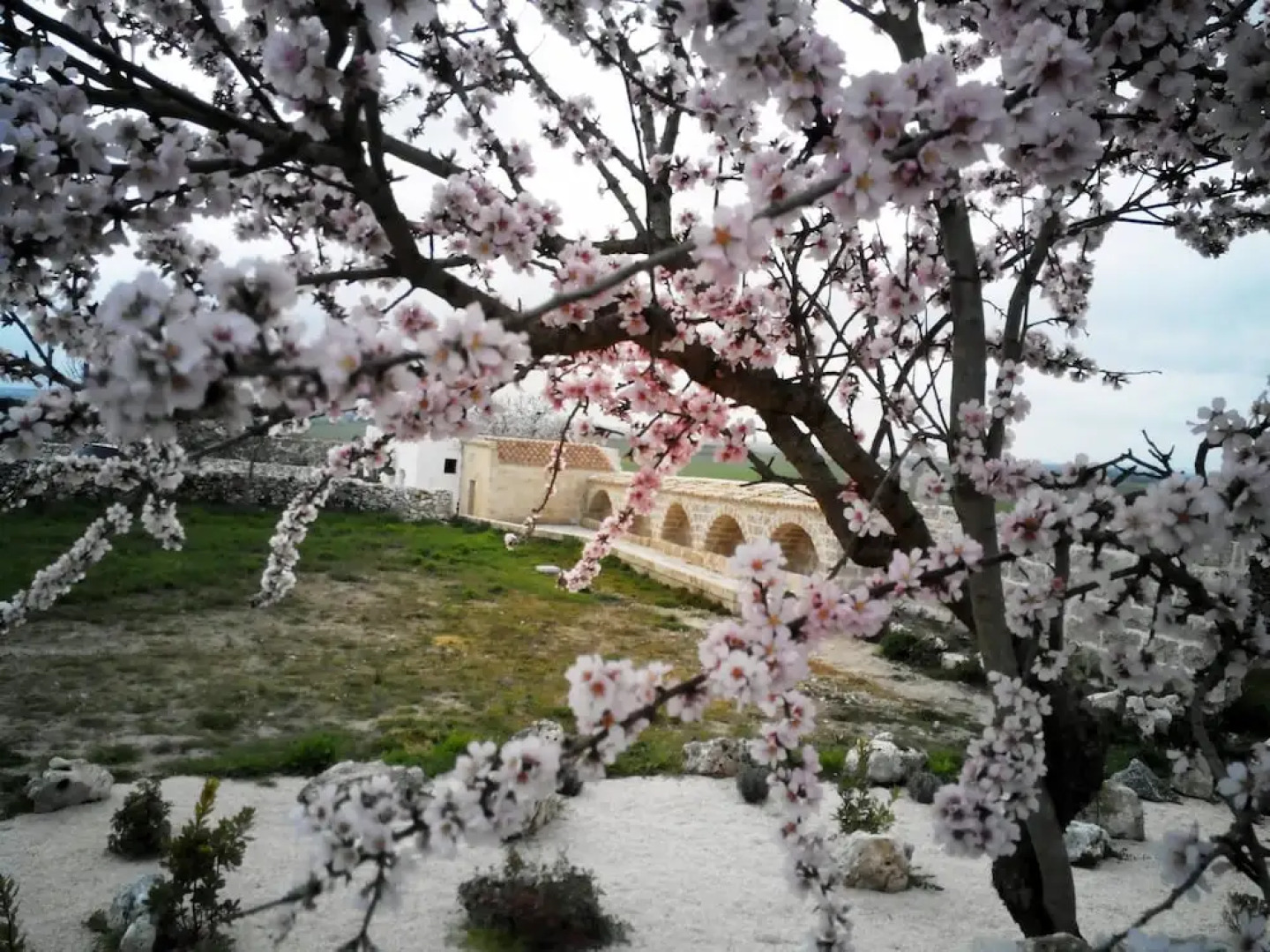 Masseria Conti Filo