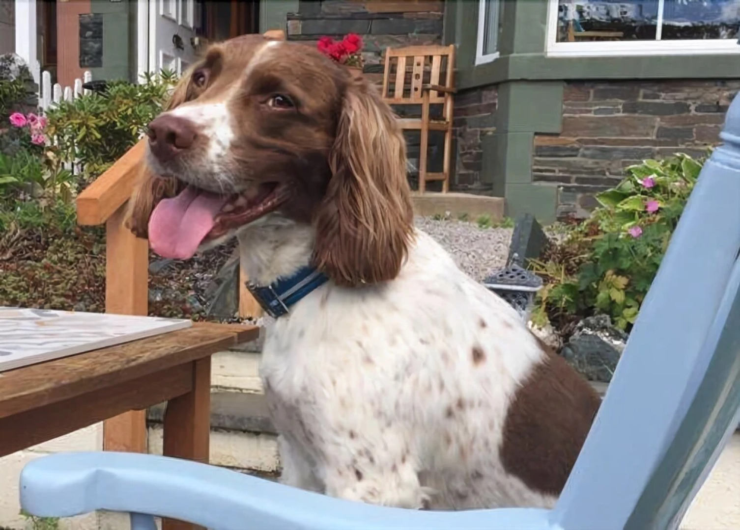 The Mount Bed and Breakfast