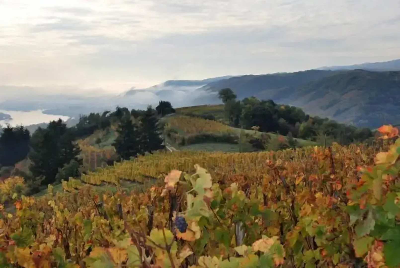 Chambres d’hôtes, Gîte, Suite : “Au Hangar ”