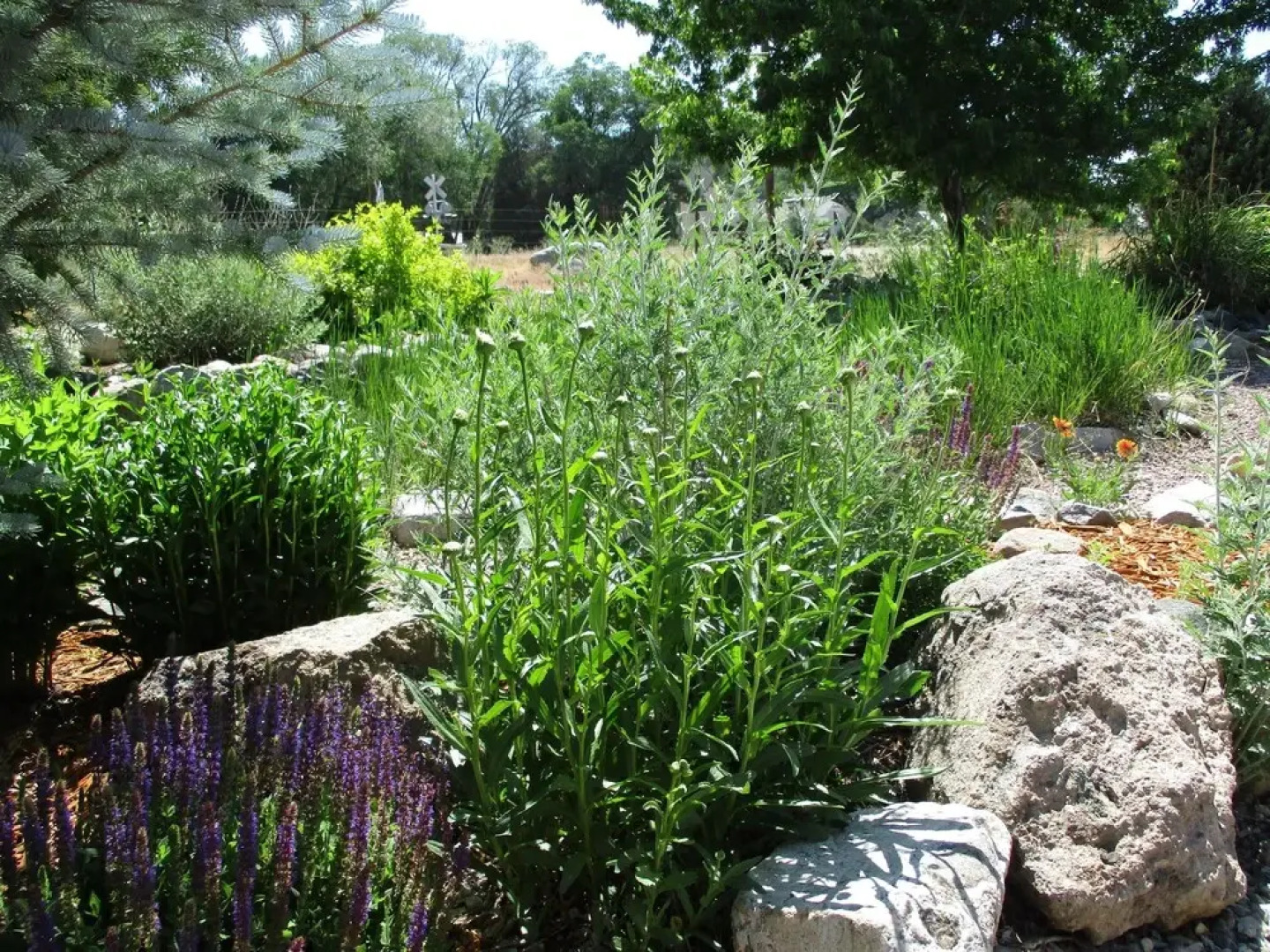 Elk Creek Lodge 3 Bedroom Holiday Home By Pinon Vacation Rentals