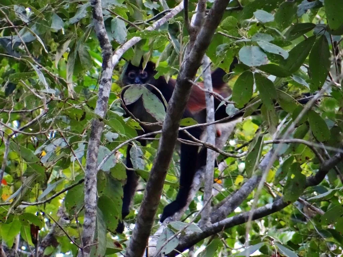 Hacienda Cobá Hotel