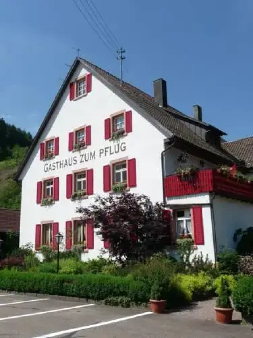 Gasthof zum Pflug