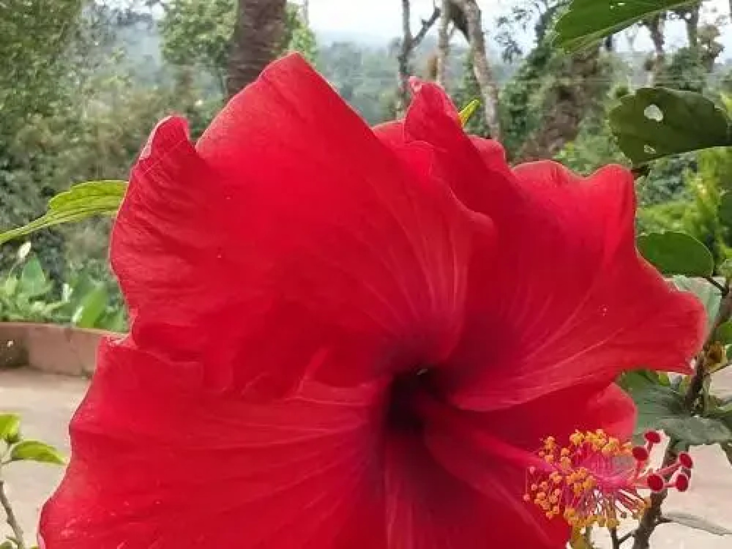 The Blue Mountains Estate Stay