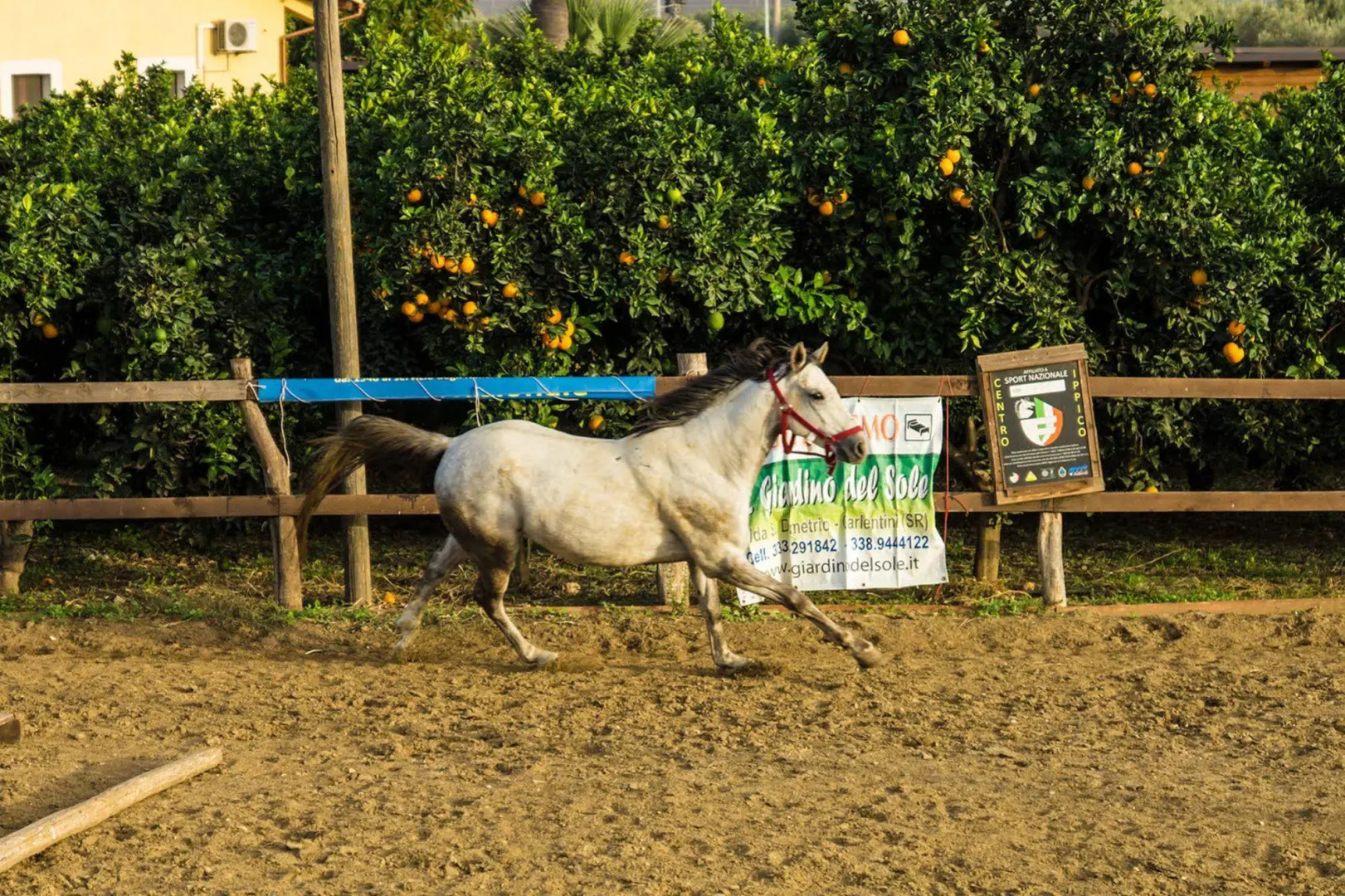 Il Giardino del sole
