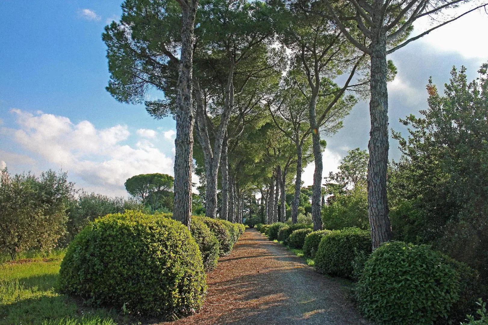 Agriturismo Il Parco di Kipo