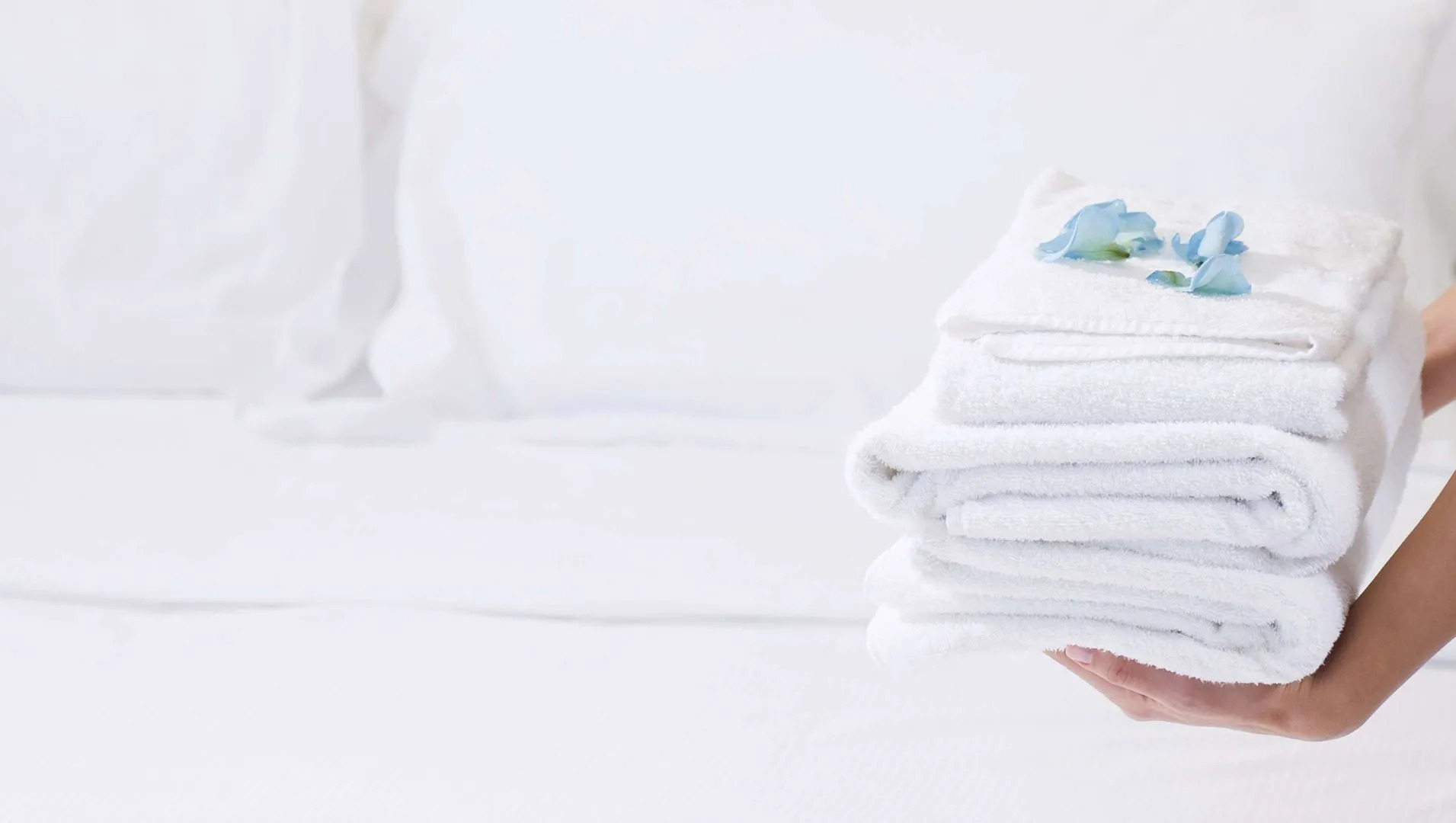 Magnuson Hotel Bradenton