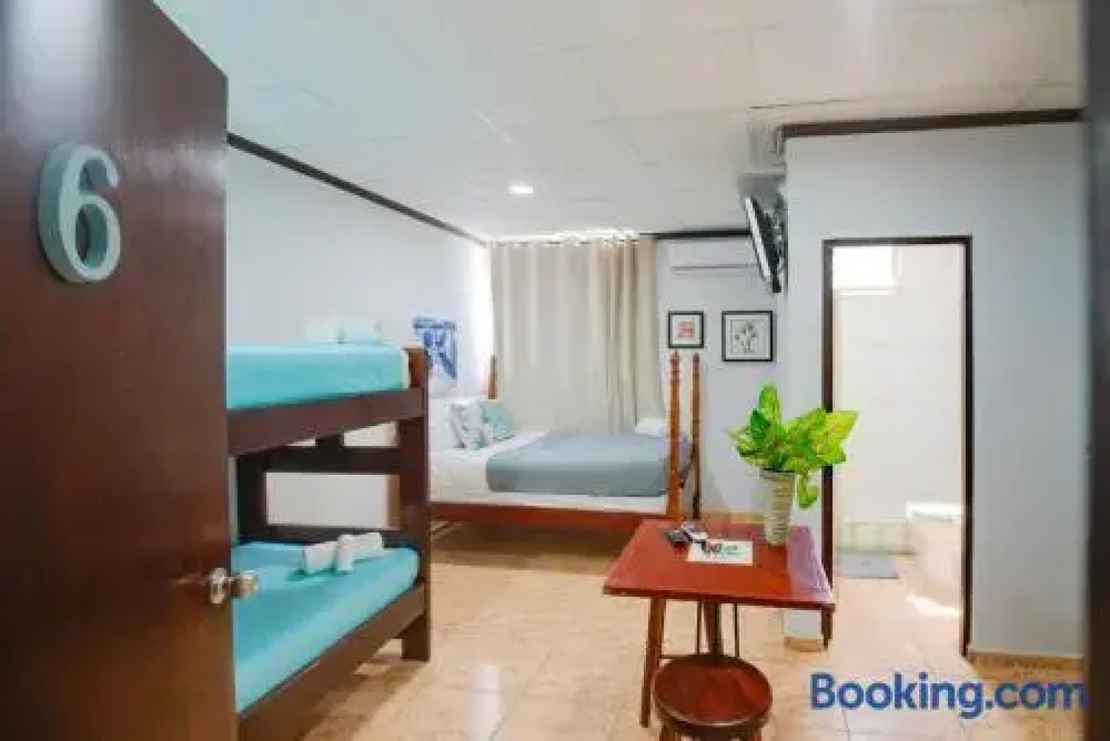 Wild Flowers Boquerón Rooms