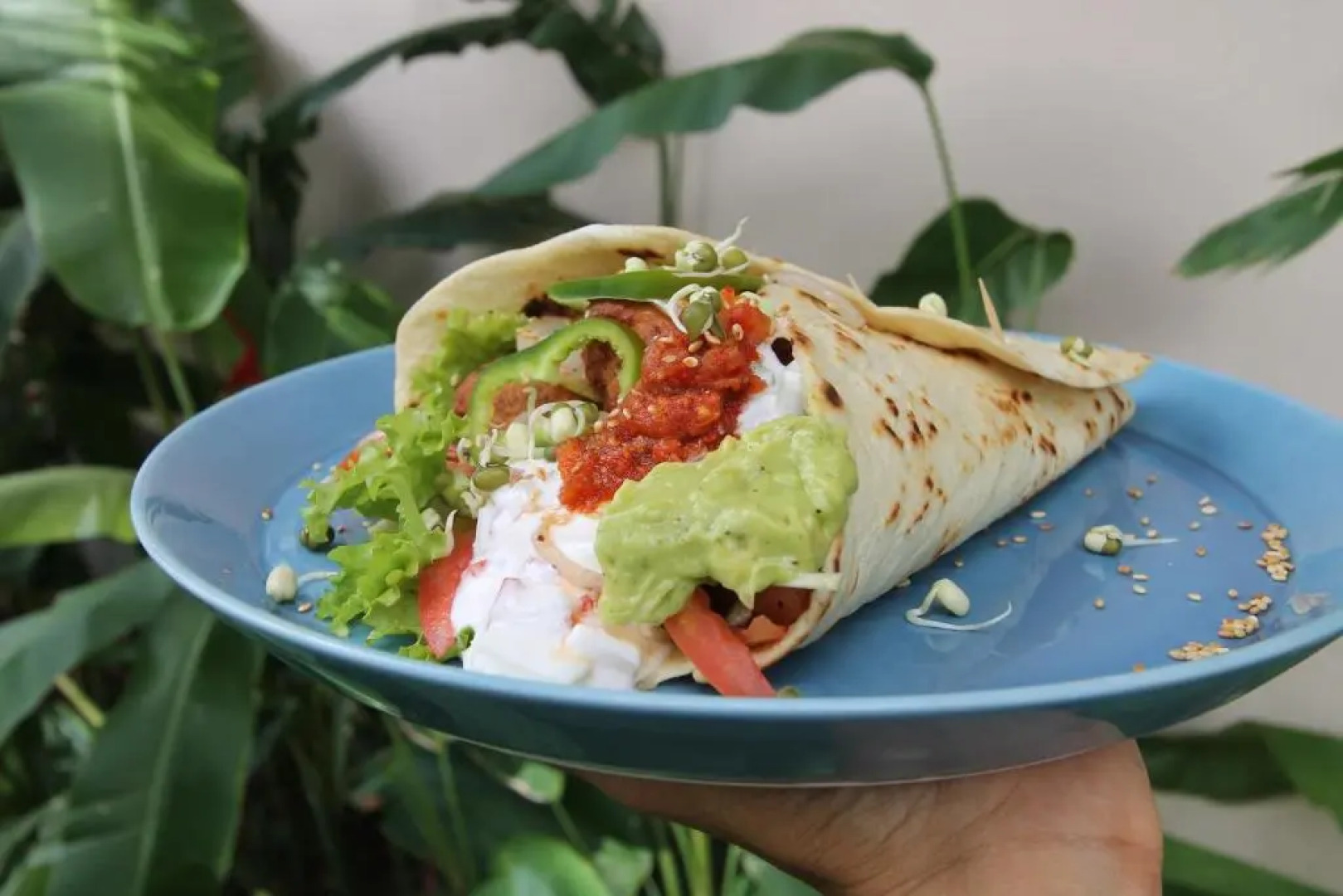 The Rascals Kite Resort