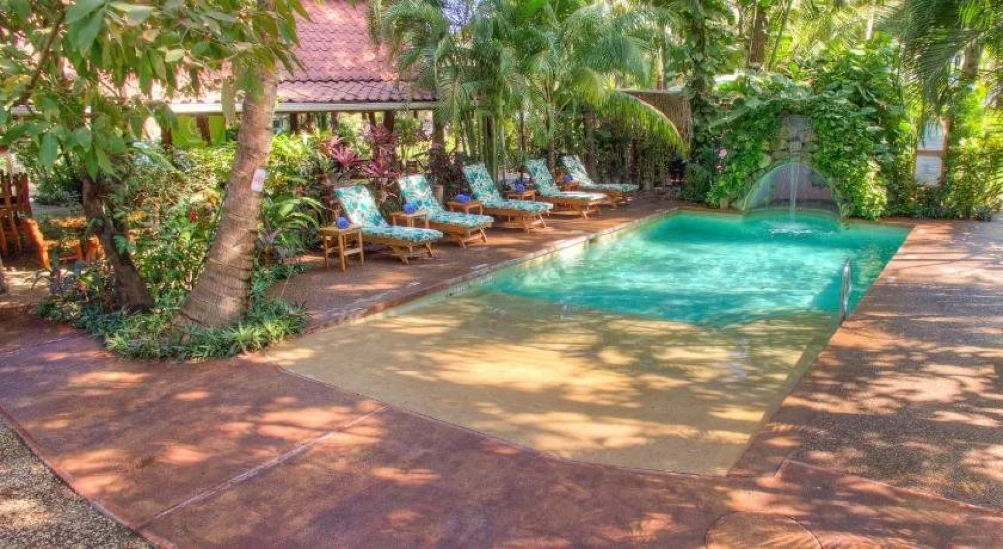 The Buena Vibra Collective