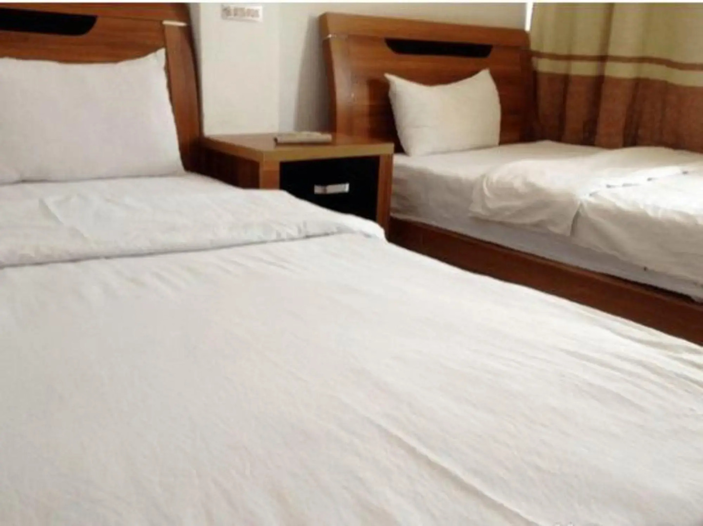 Happy Migratory Bird Family Hostel