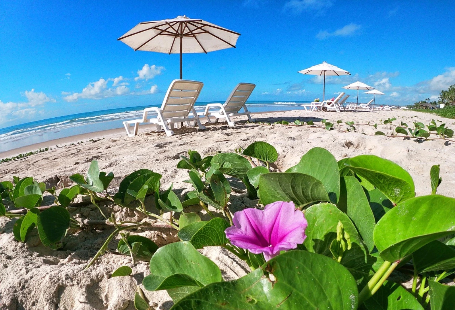 Hotel Pousada Butias