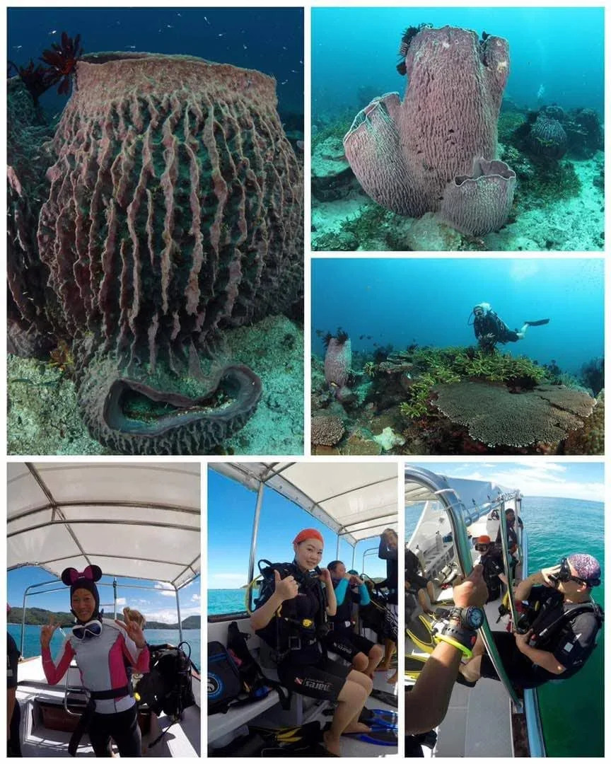 Dragon Pearl Beach Resort