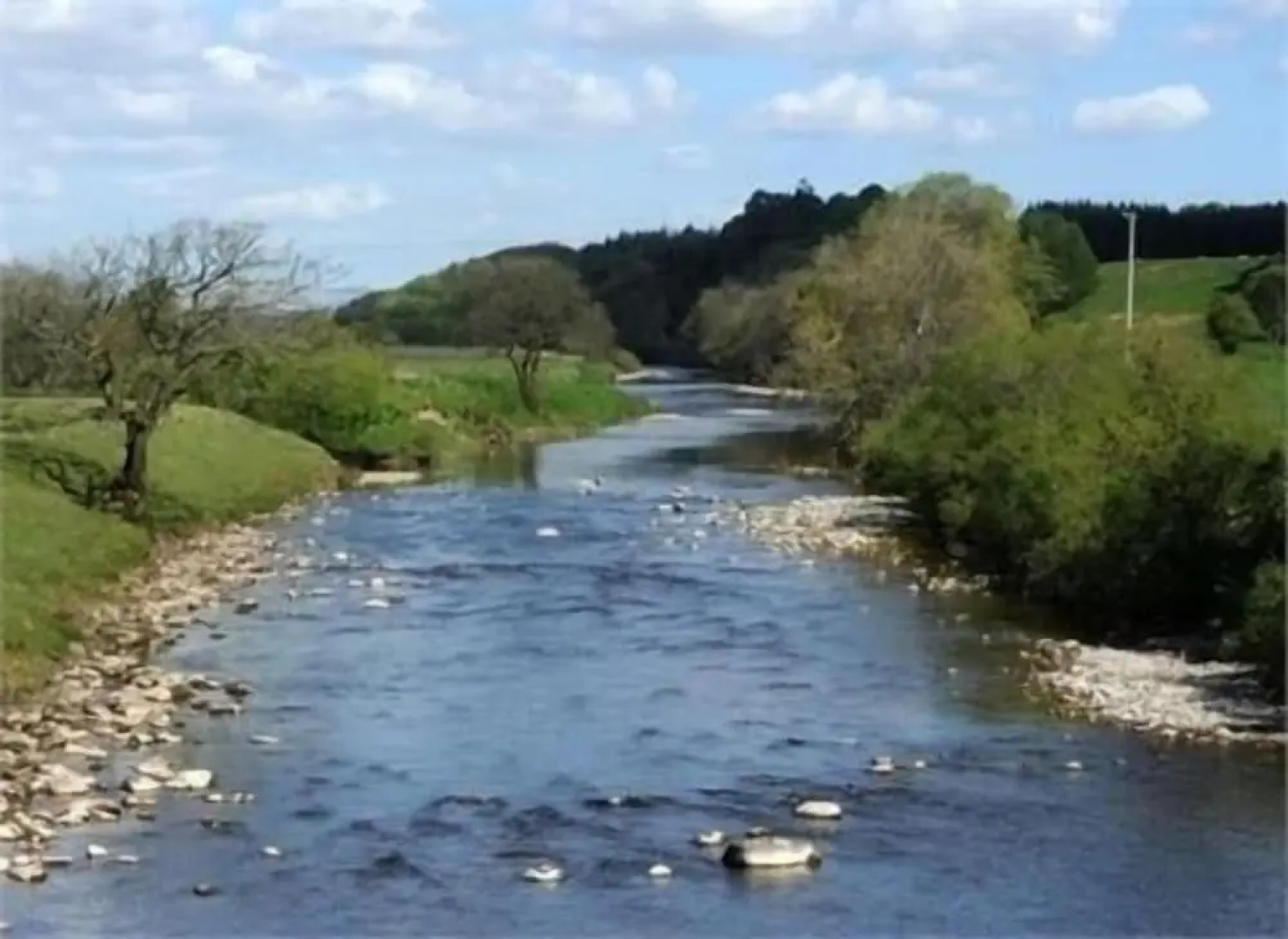 Abbotshaw House - Farm B&B