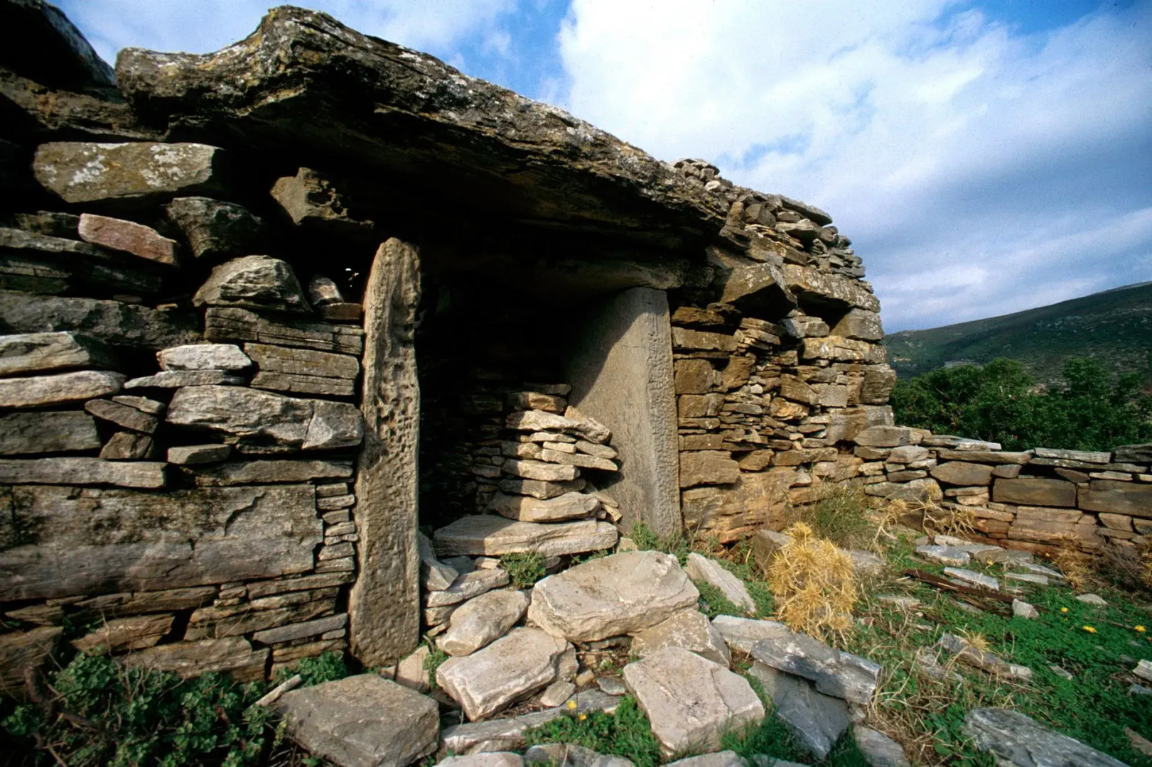 Venus Beach Bungalows Hotel