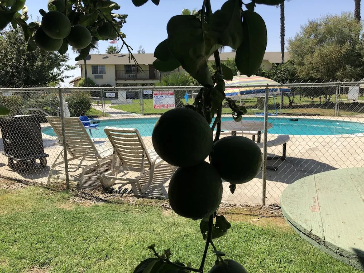 99 Palms Inn & Suites