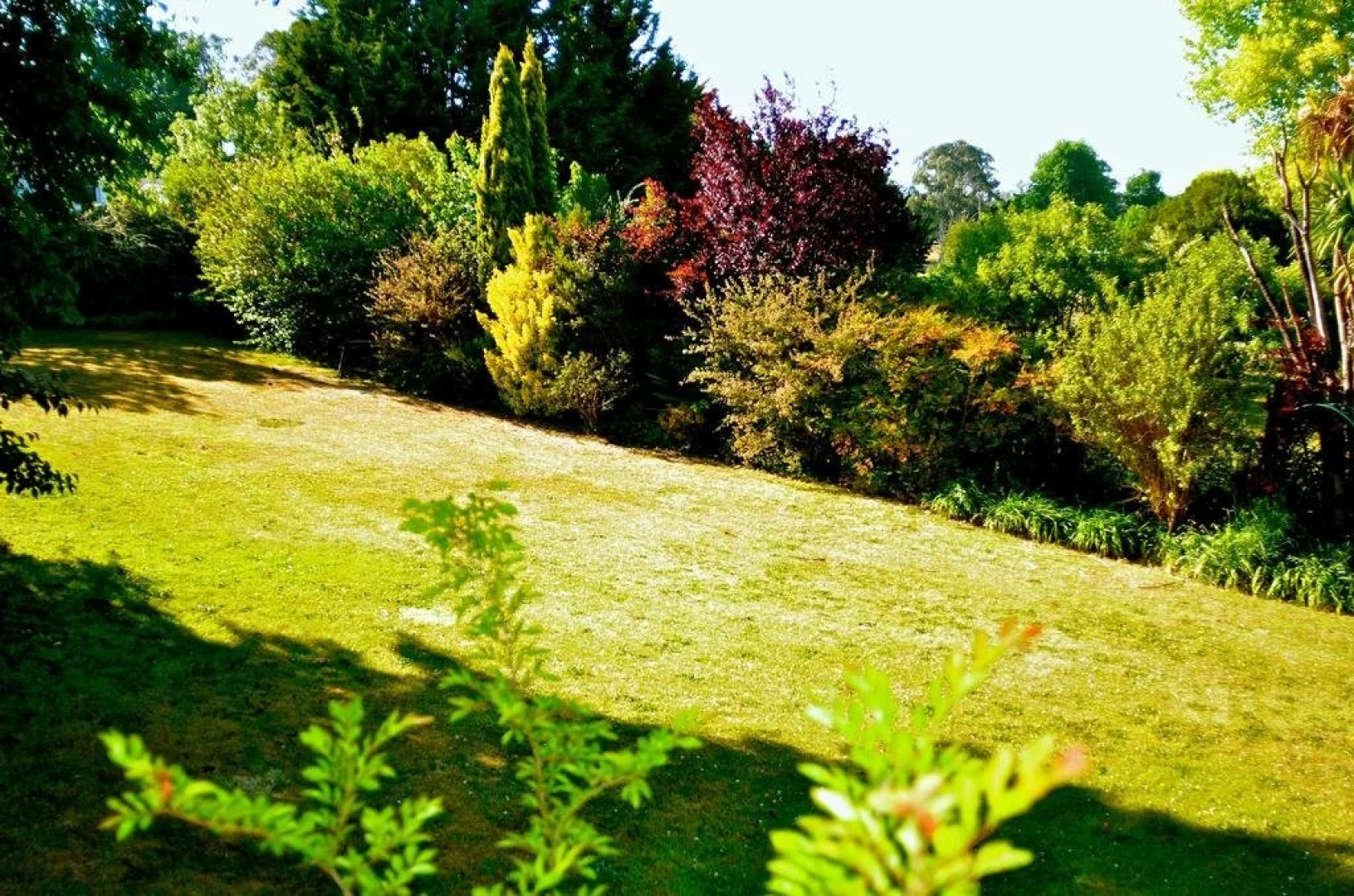 The Glasshouse Boutique Accommodation