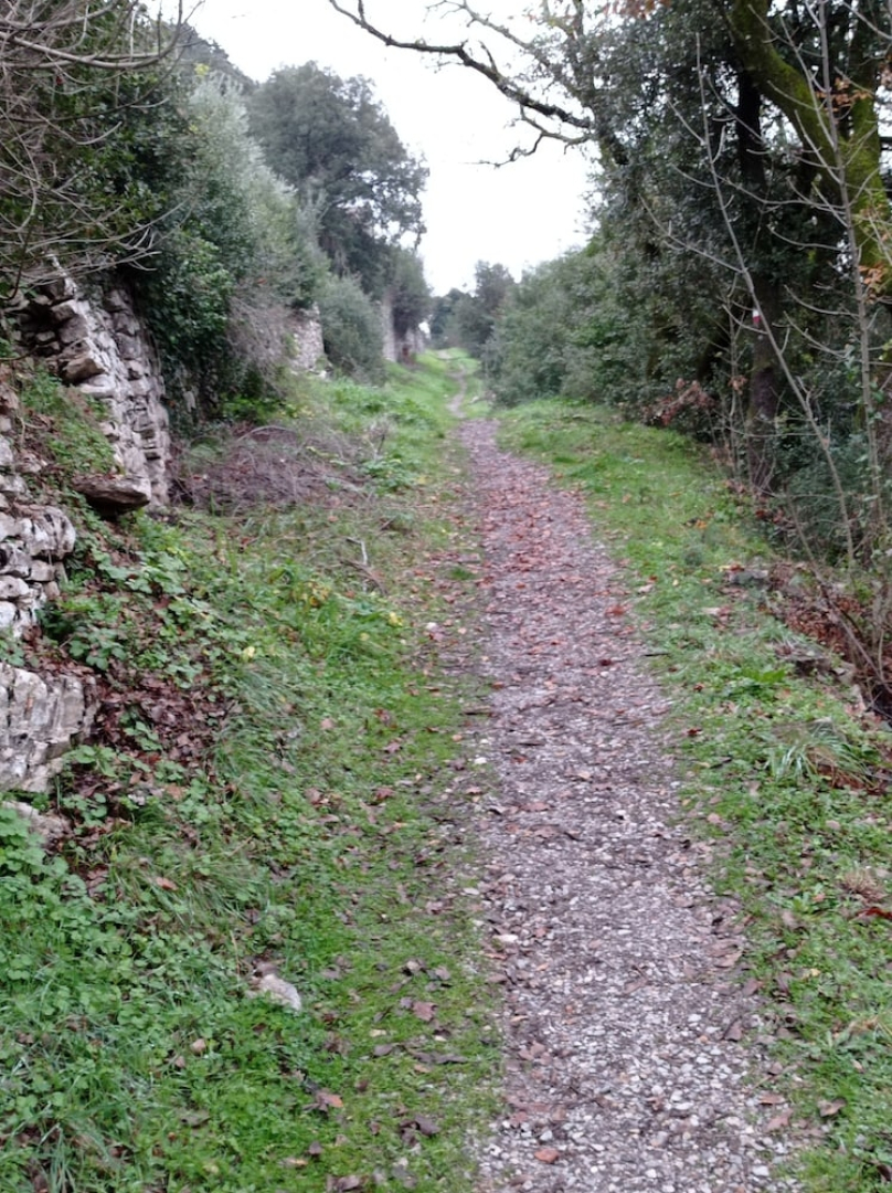 The Farmhouse of the Domo and its Ancient Charm