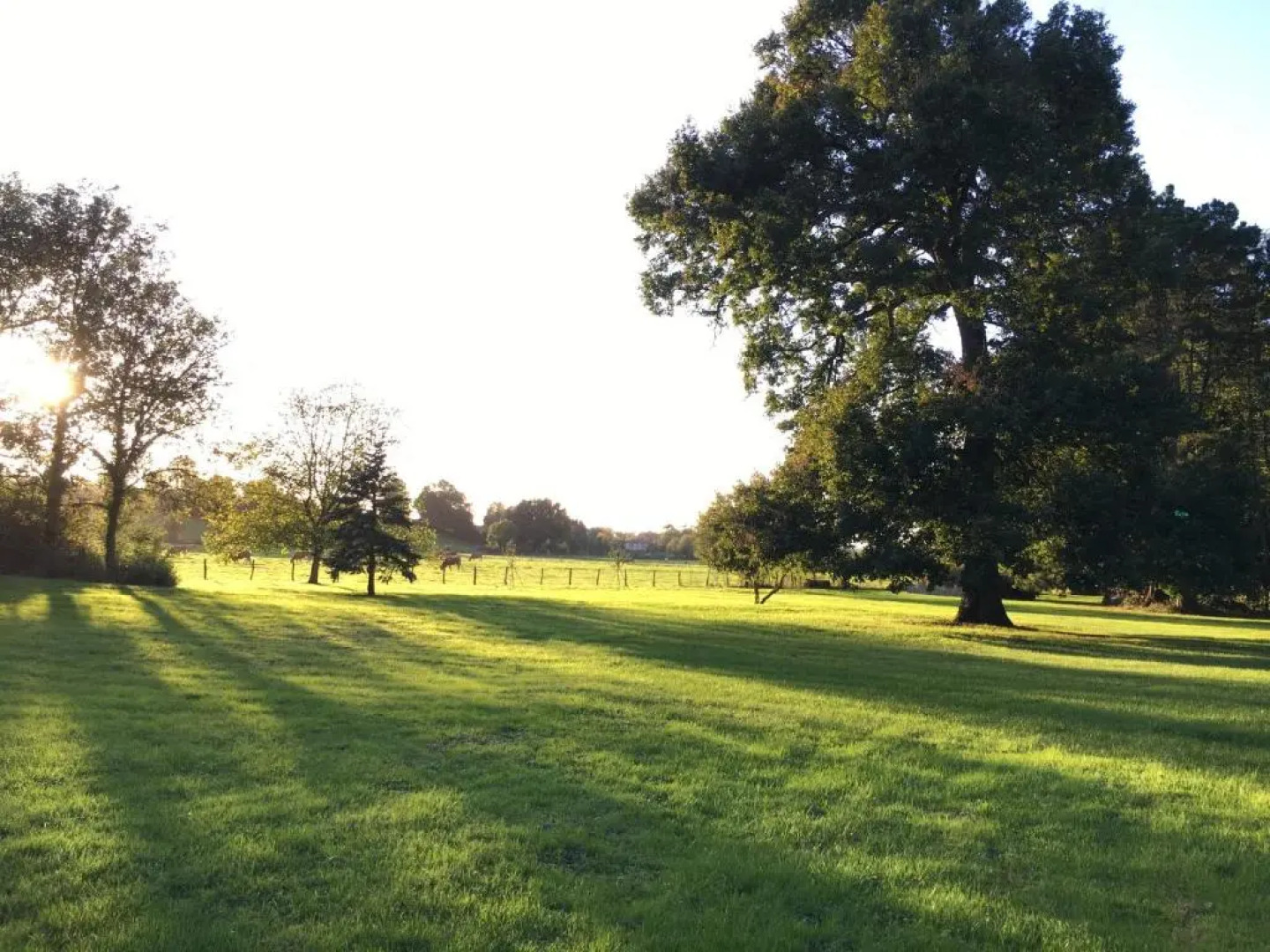 Echo D'eau Host & Coach