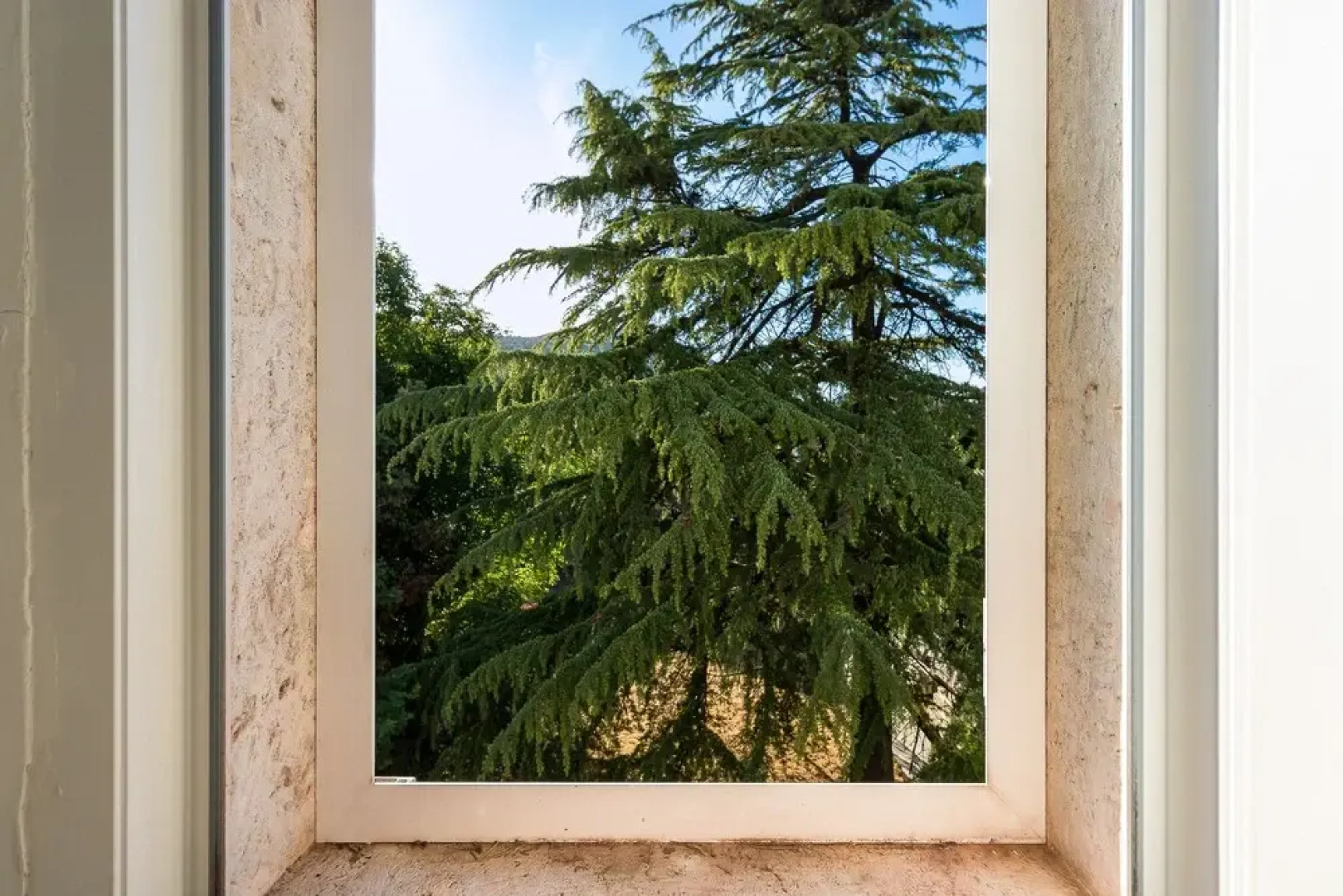 St. Lucia's Apartment