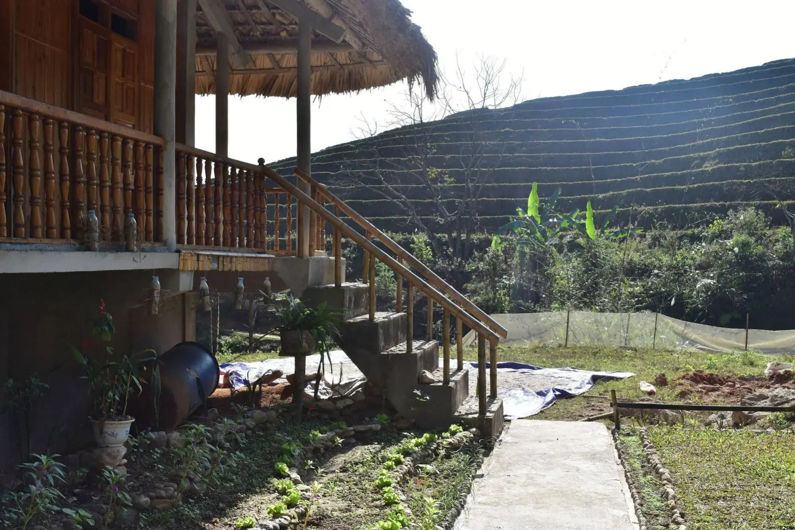 Thong Nguyen Homestay - Hostel