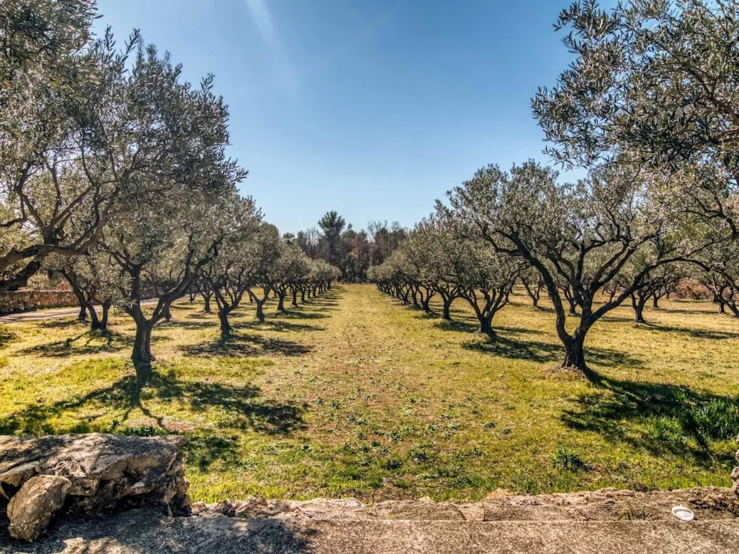 Secluded Holiday Home in Aups With Garden