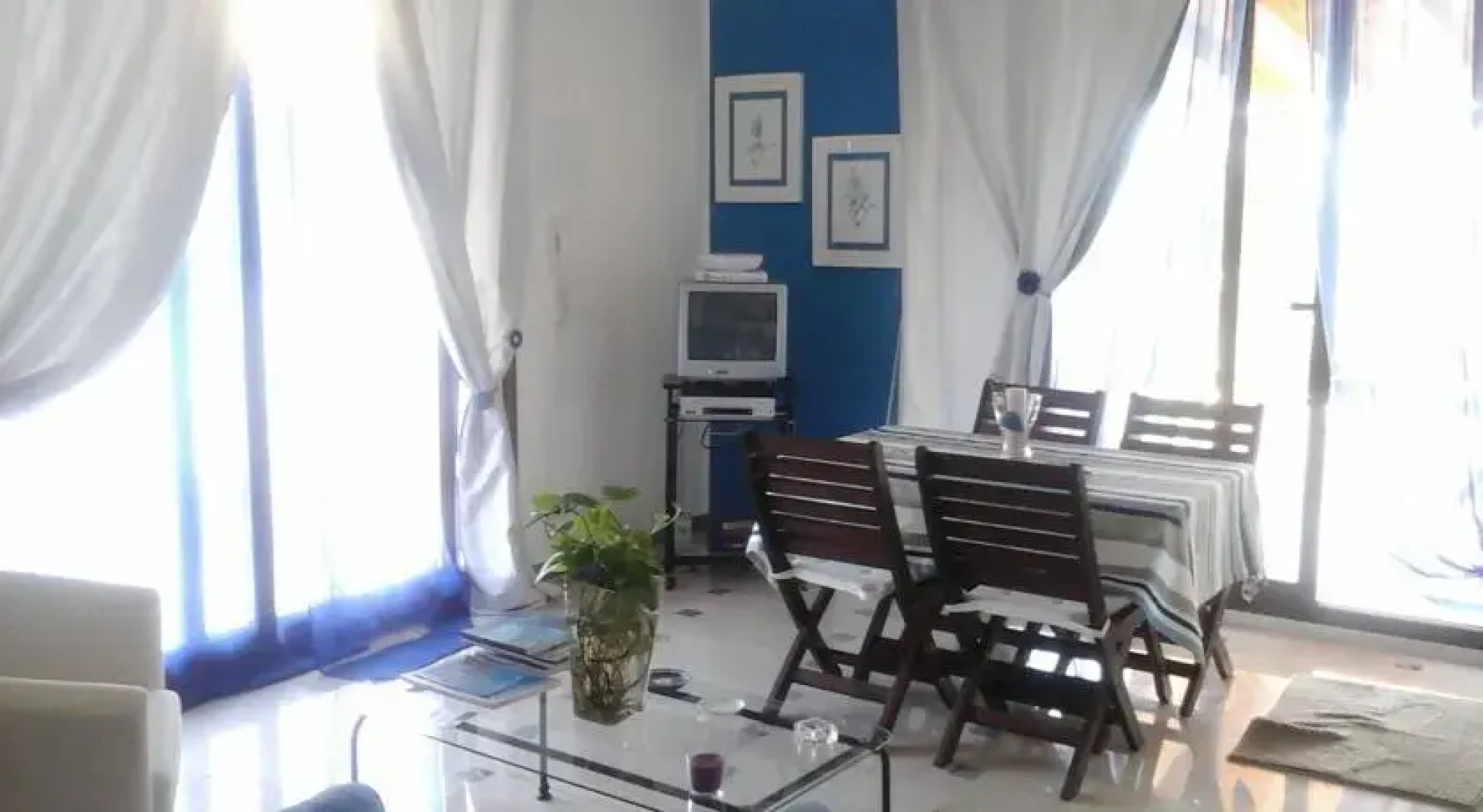 White and Blue Holidays