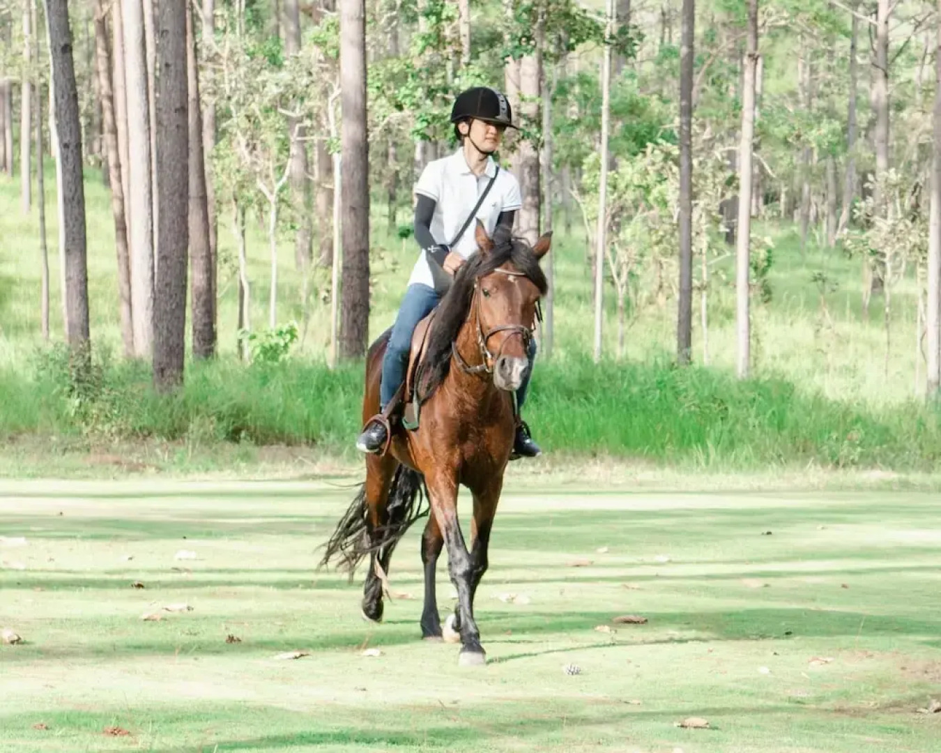 vKirirom Pine Resort