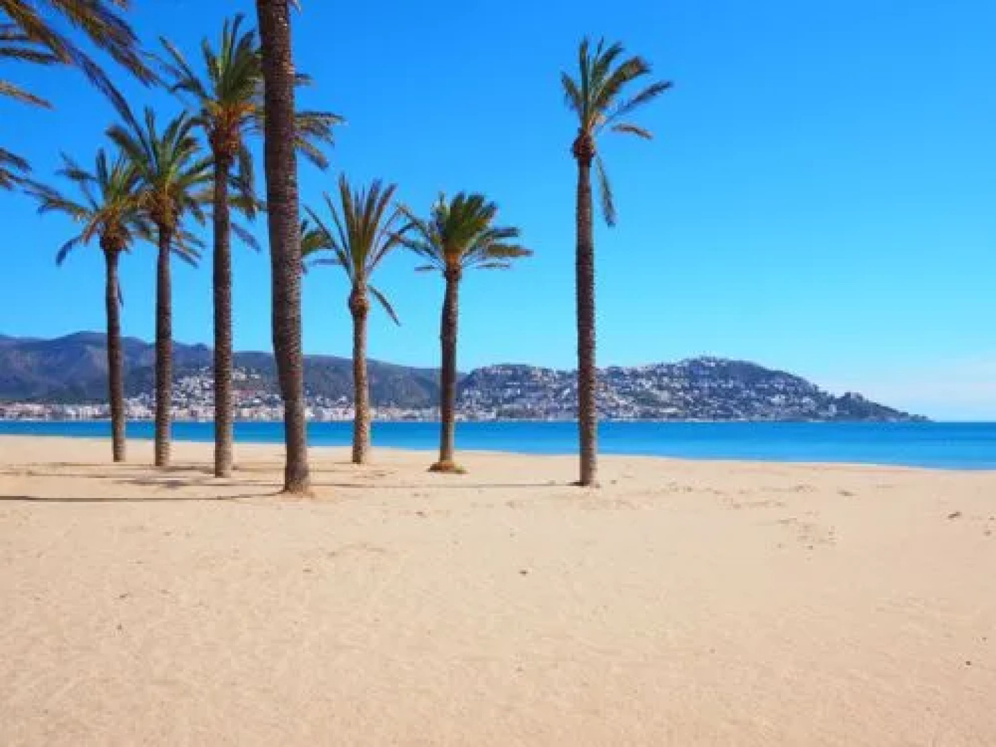 House LA OLIVA Palau Savardera