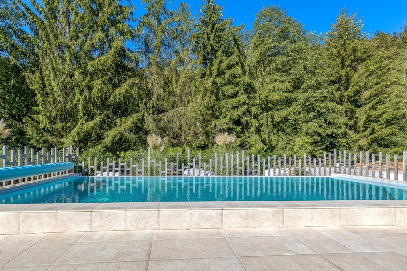 Pool Suite Sunflower