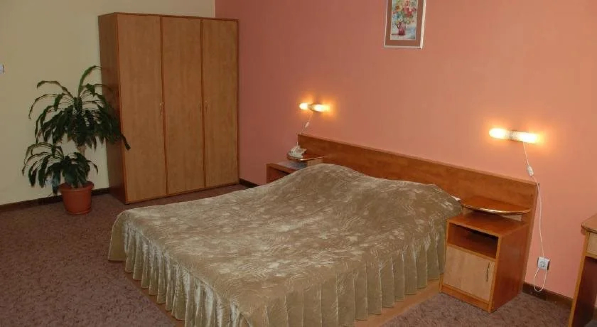 Pensiunea Turistica Europa