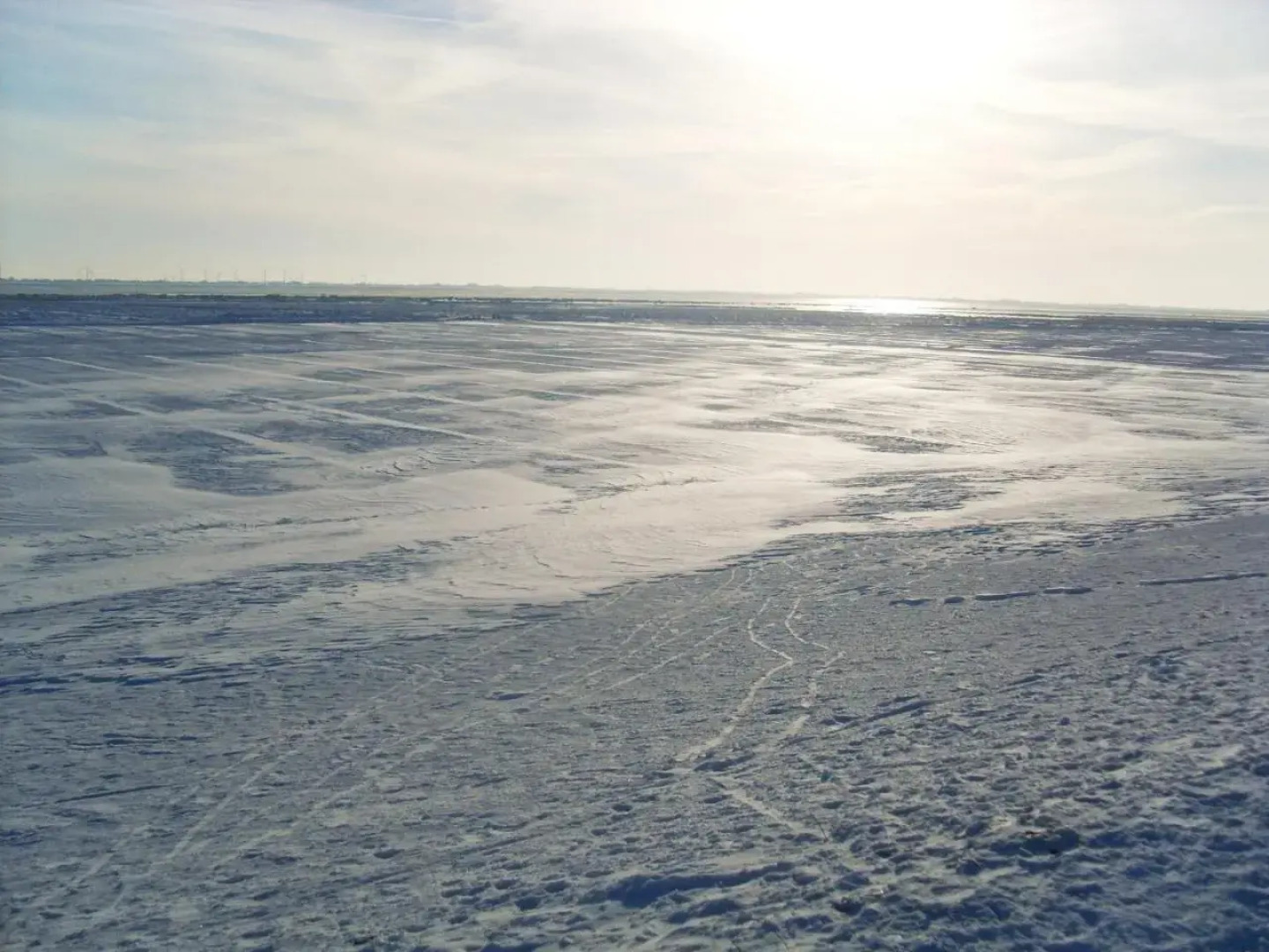 Ferienwohnungen am Aussendeich