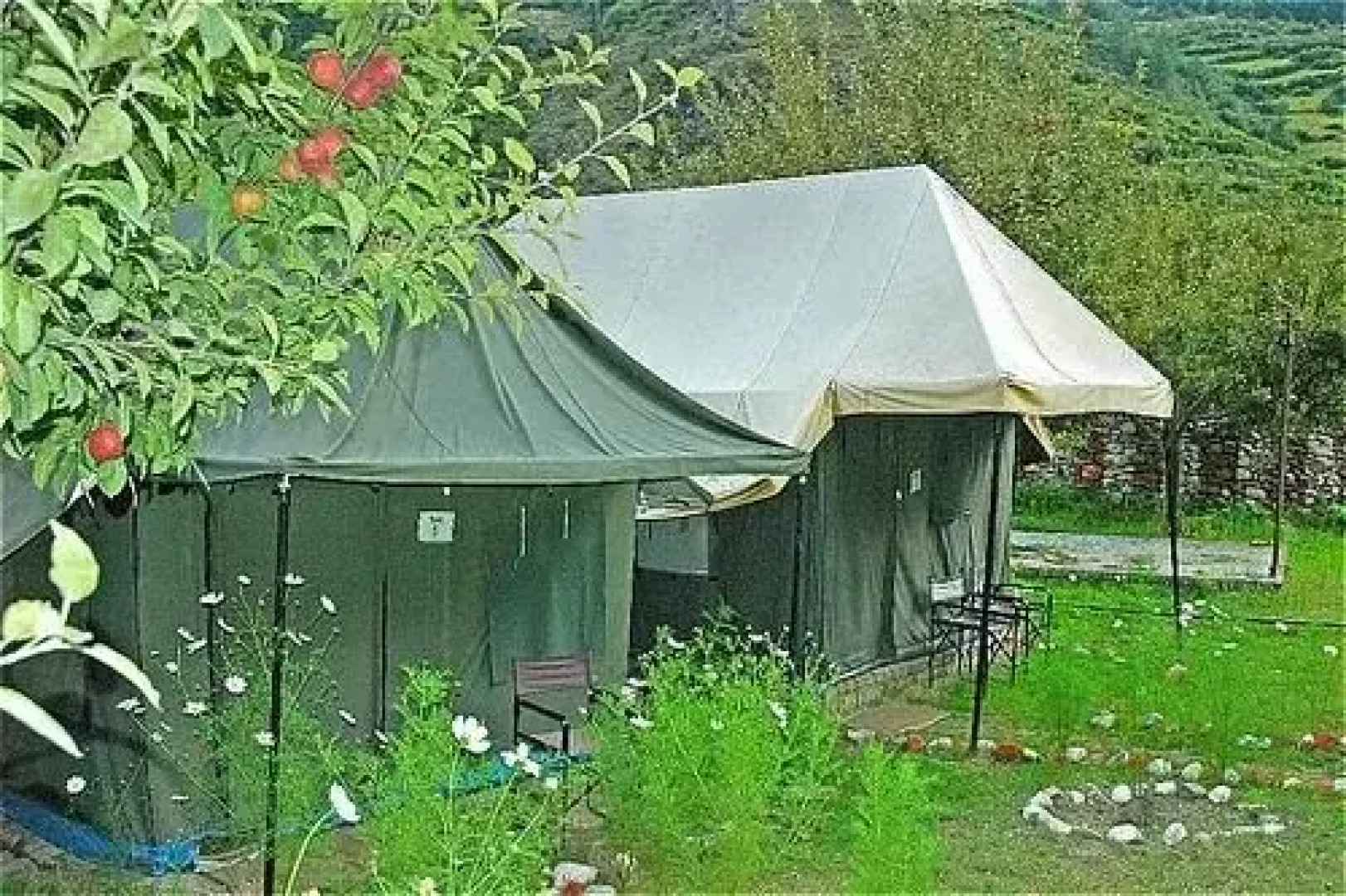 Chardham Camp Harsil Gangotri