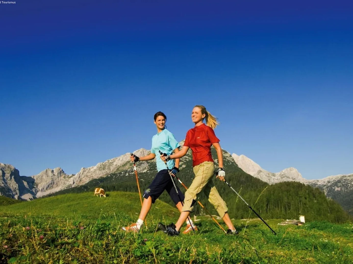 Charming Apartment With Swimming Pool and Sauna in Styria