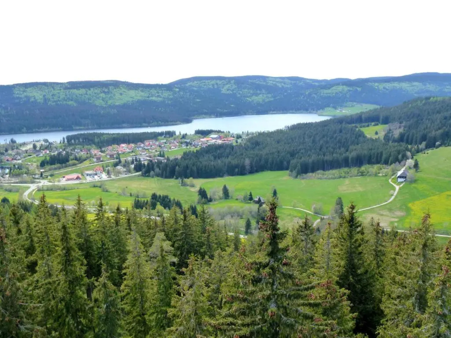 Ferienwohnung Schluchsee