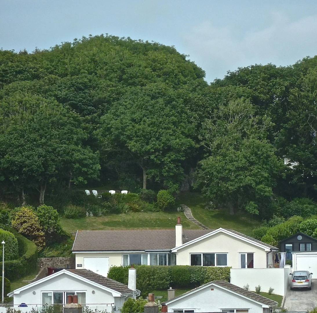 Brynteg Bed and Breakfast - Manorbier