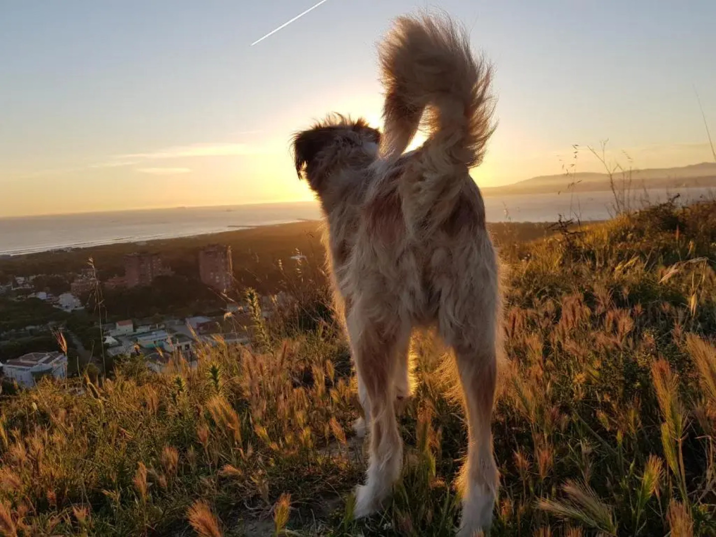 Green Element Guesthouse