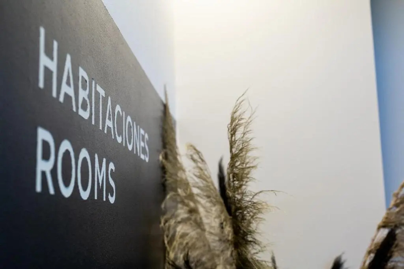 Hotel Ecos del Sella