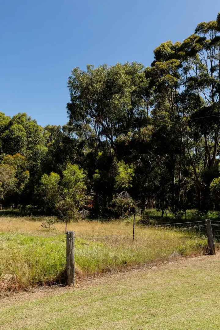 Turner Brook
