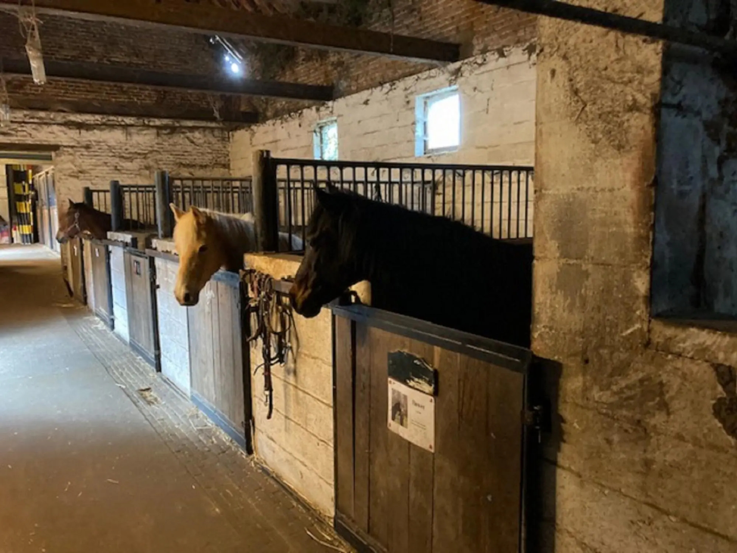 Riding School Farm Stay