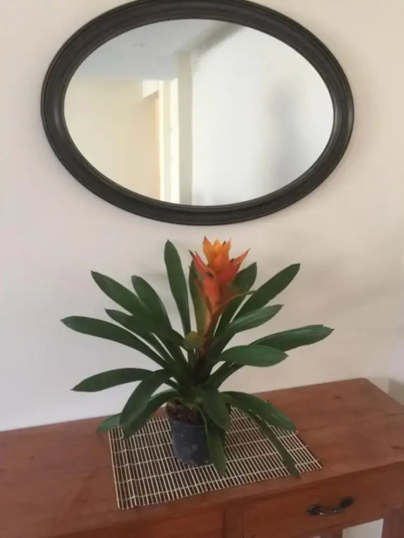 Rich Place Squareville