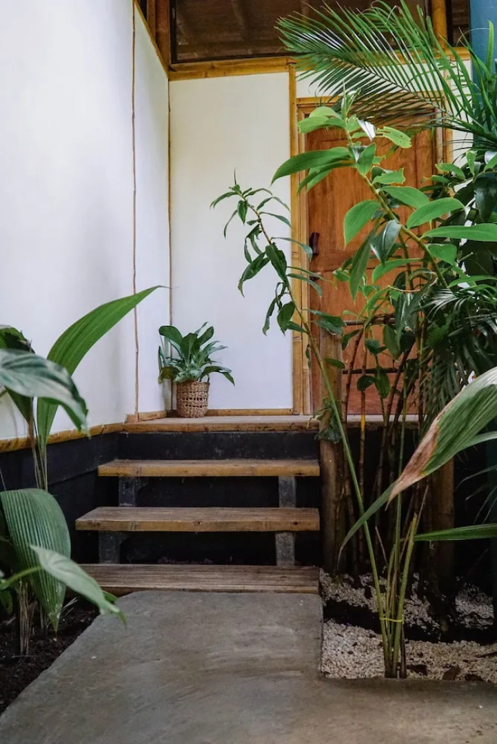 Dream Surf House Santa Teresa