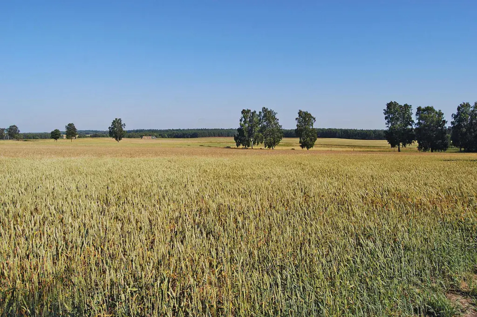 Terraced House With Pool and Sauna, Sieciemin
