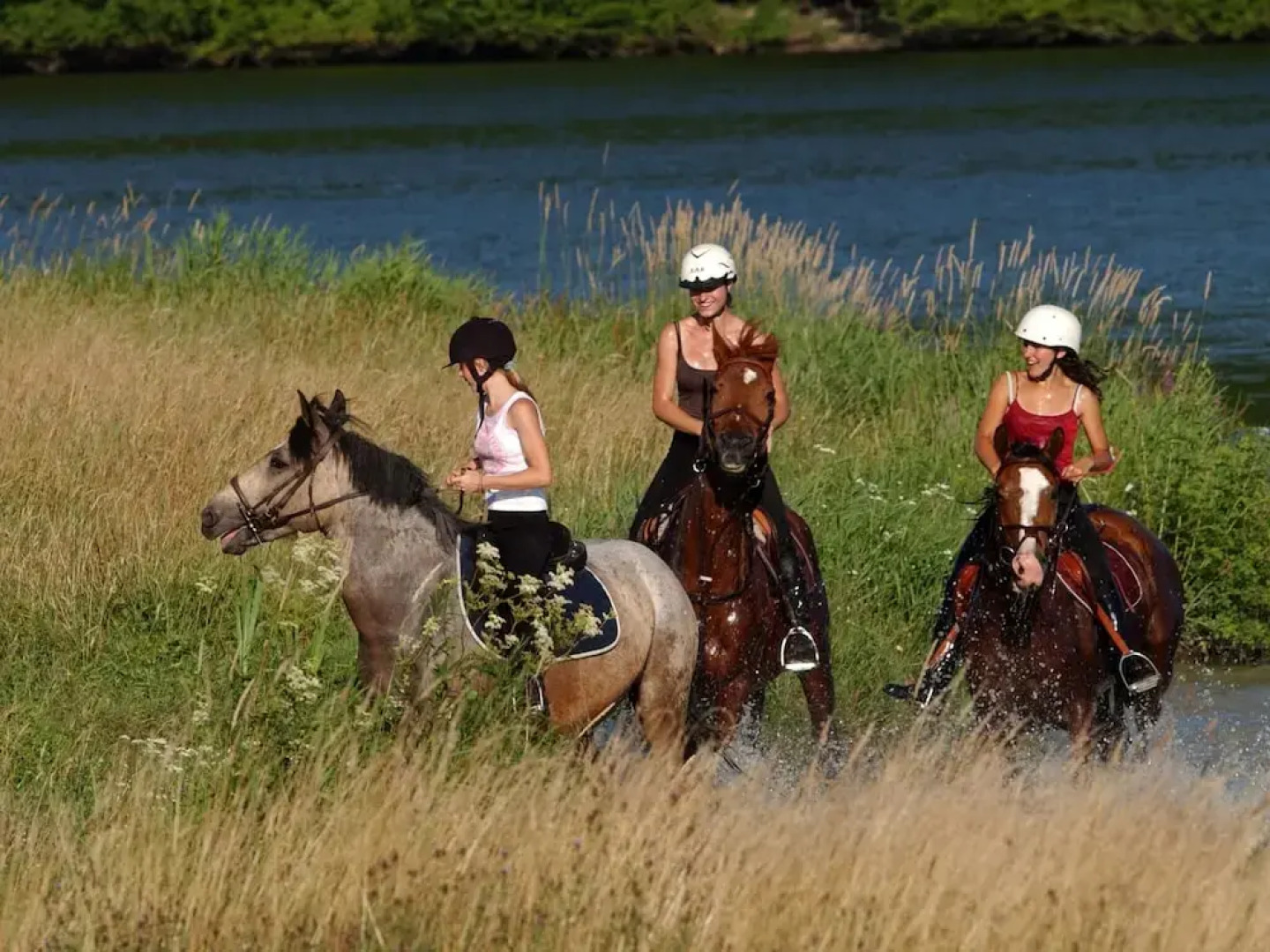 Nice Apartment With Dishwasher in the Beautiful Valjoly