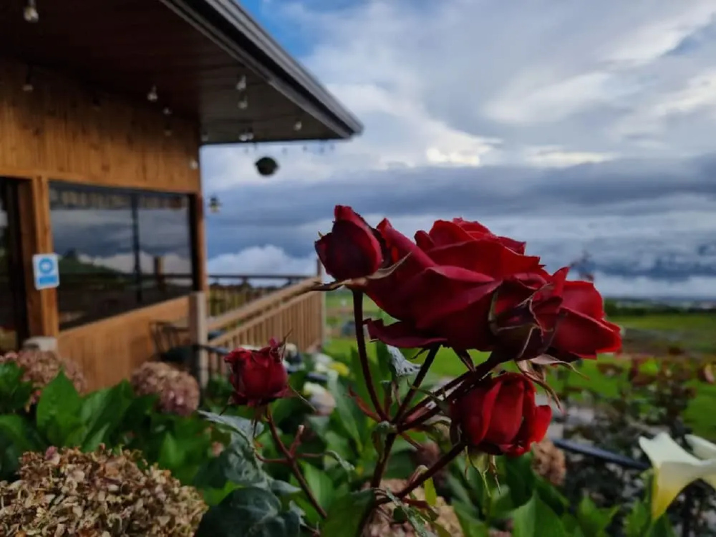 Cabañas & Mirador Secret Garden Costa R.