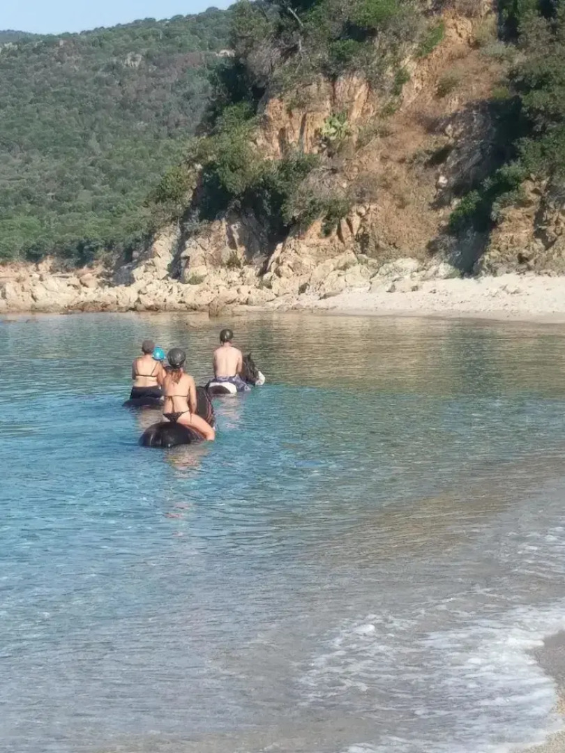 Mare E Monti Bungalow