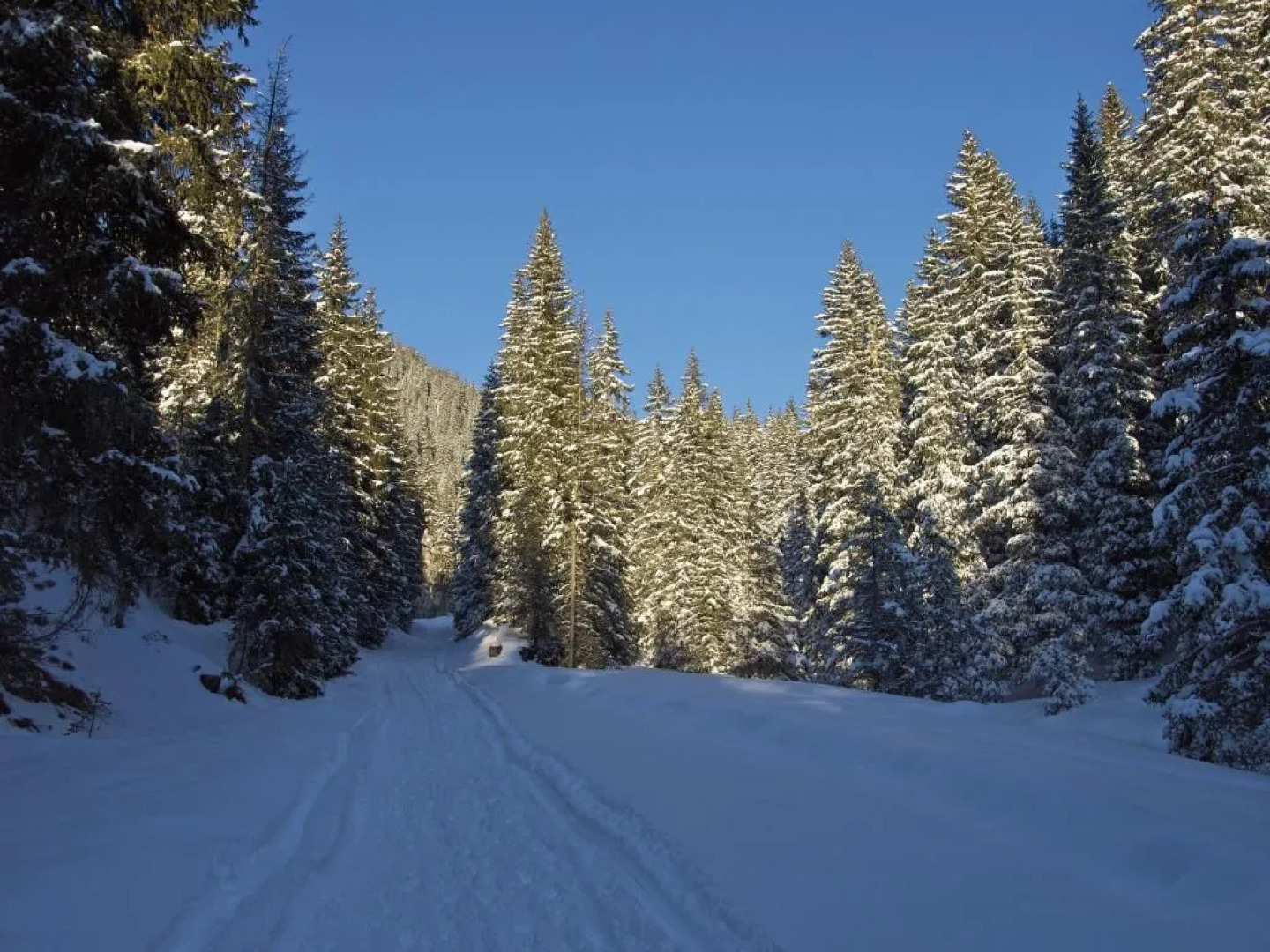 Olympic Regina Hotel