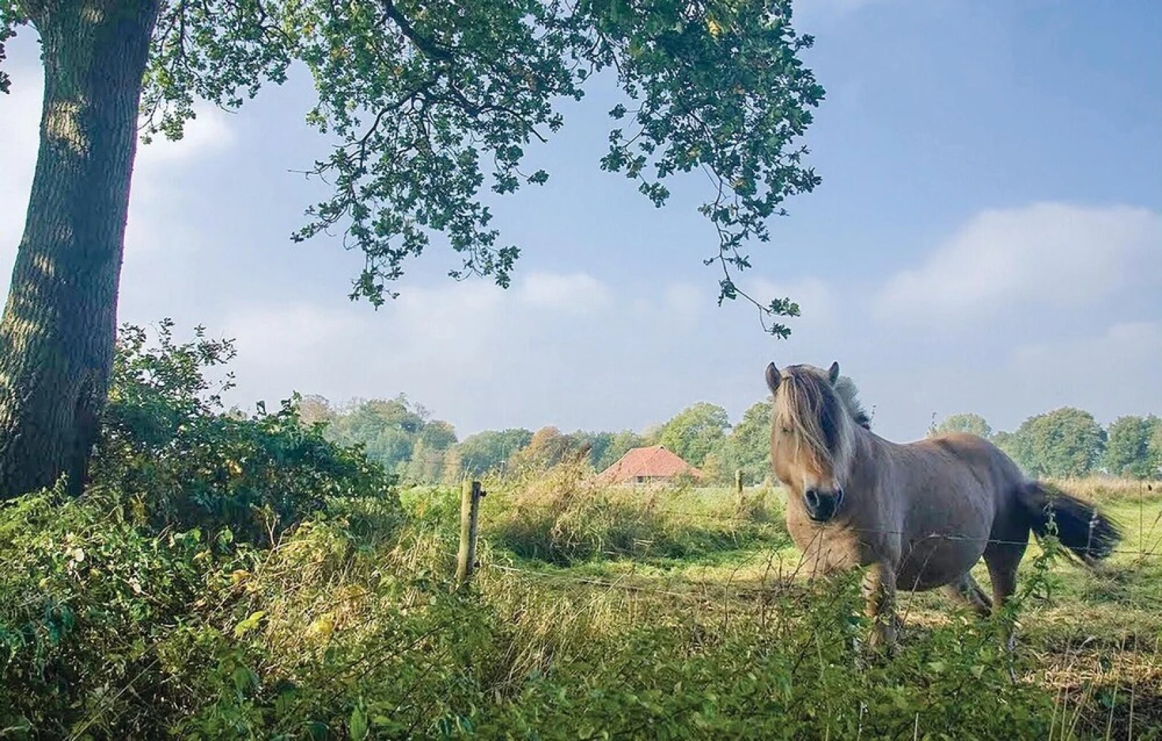 Beautiful Home in Vlagtwedde With 3 Bedrooms, Wifi and Indoor Swimming Pool