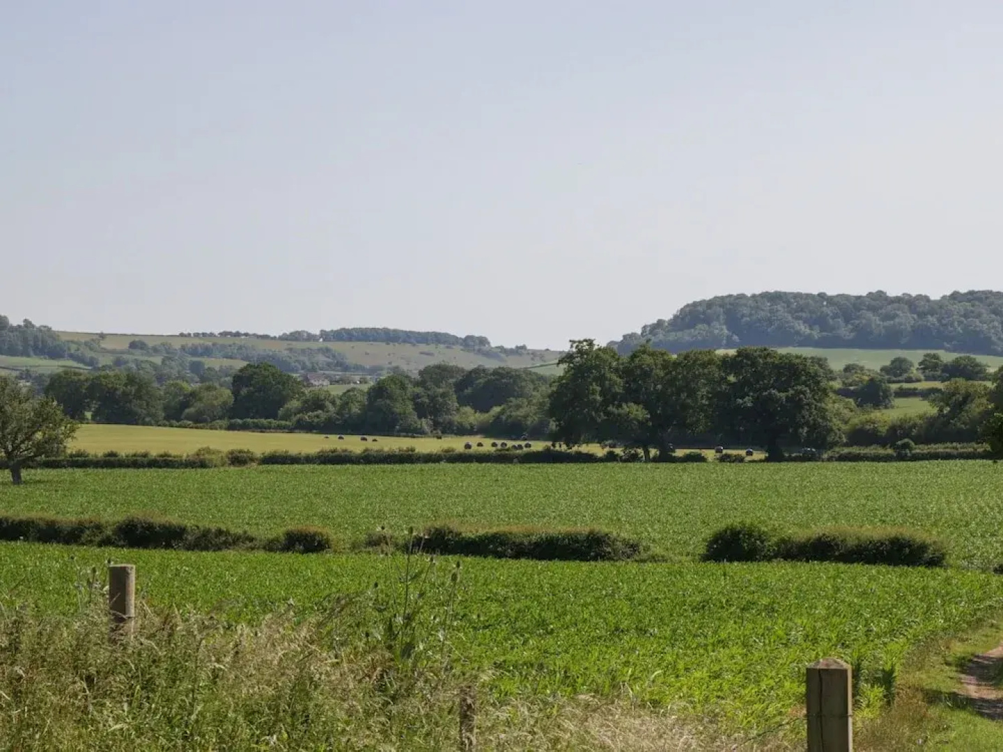 Mappowder Cottage