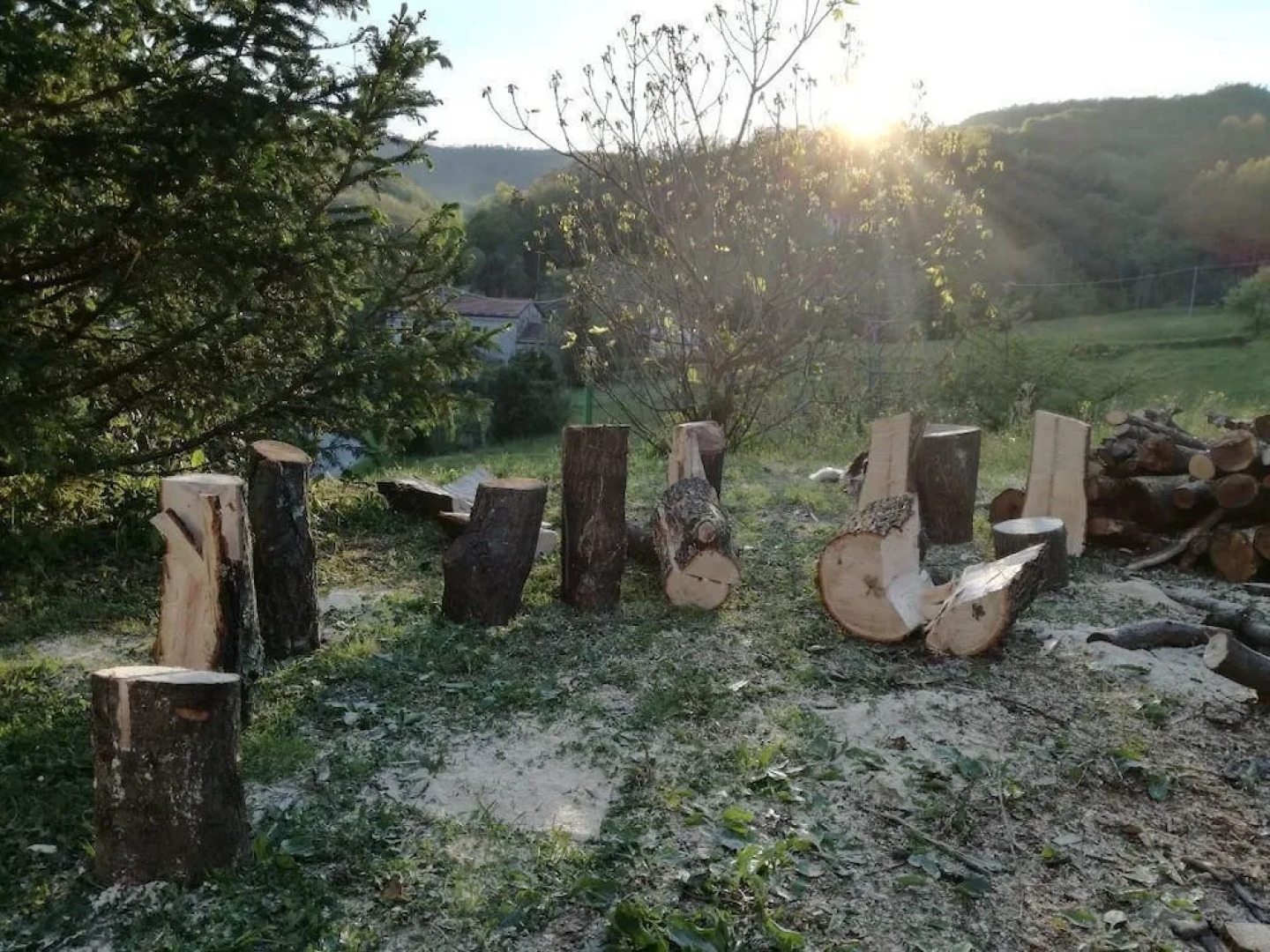 Agriturismo A Trasea